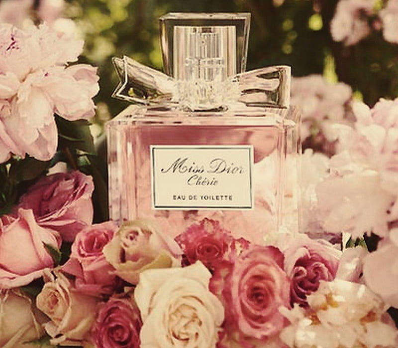 Miss Dior and roses, perfume, roses, pink, miss dior, HD wallpaper