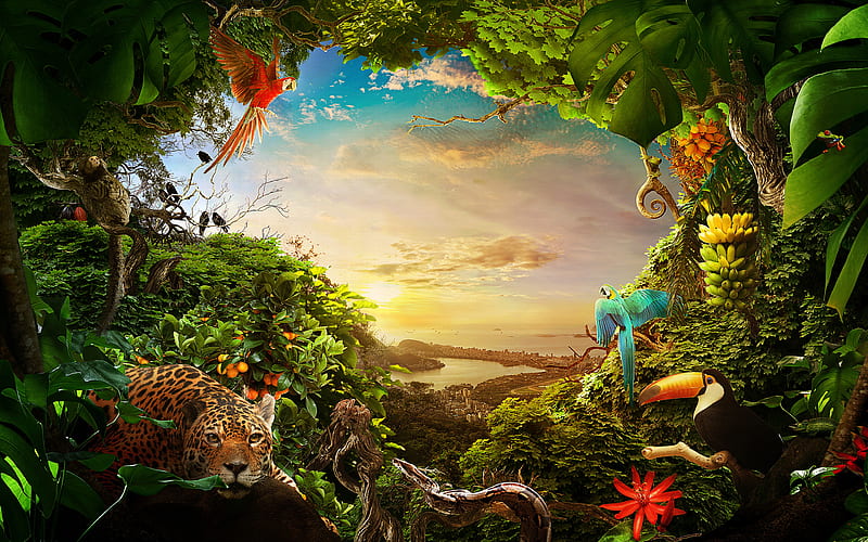 Rio De Janeiro, jungle, wildlife, wild animals, South America, Brazil, HD wallpaper