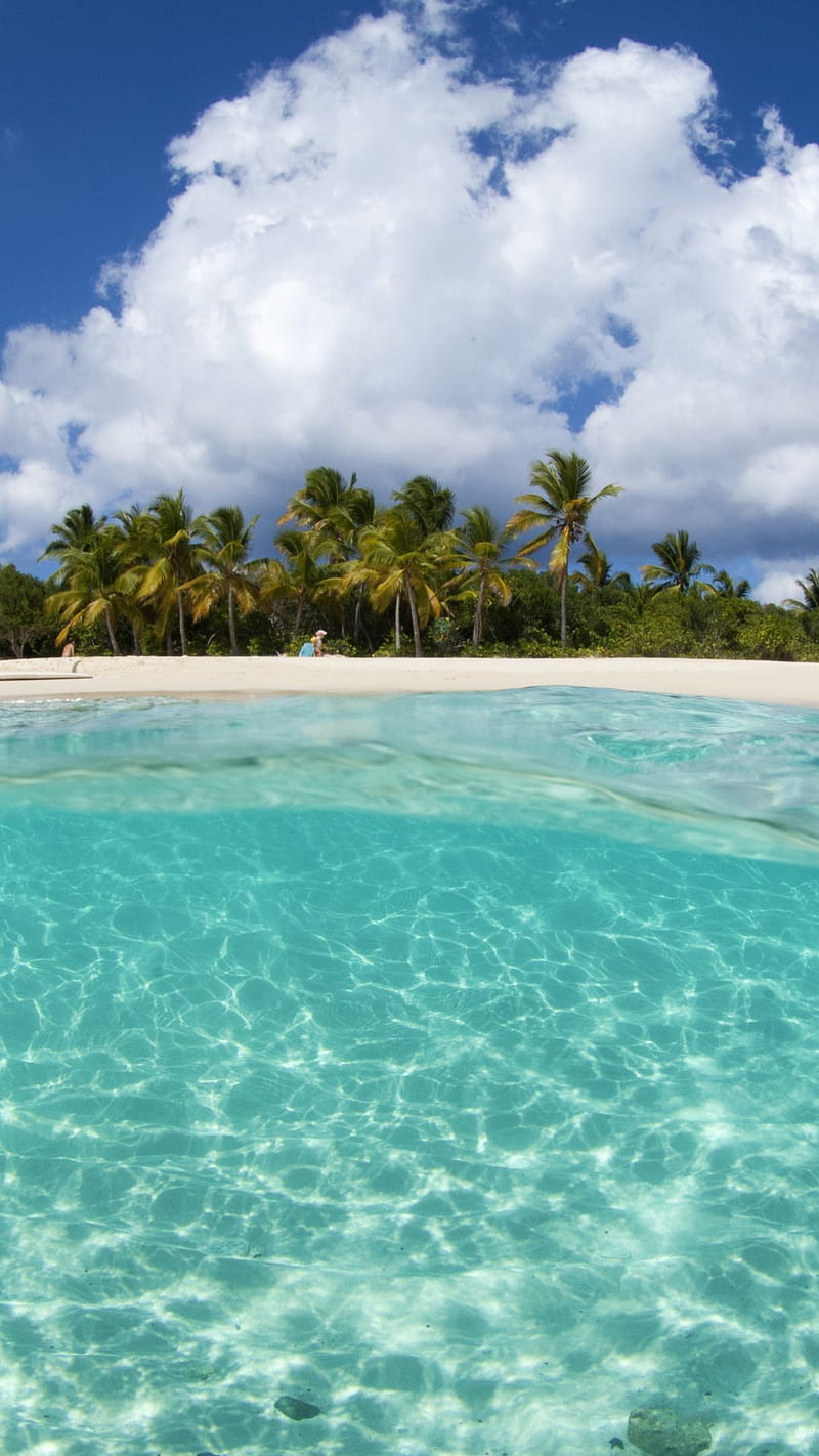 Sandy Cay BVI, beach, palms, sandy cay, turquoise blue water, white sand, HD phone wallpaper
