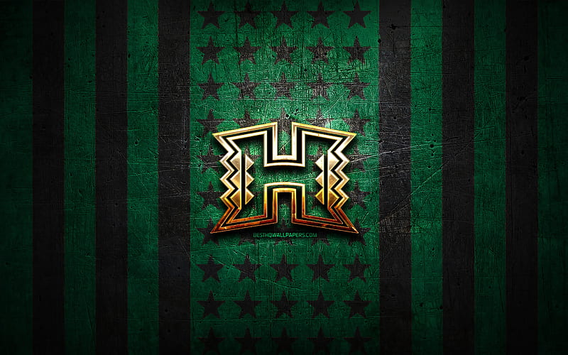 Hawaii Rainbow Warriors flag, NCAA, green black metal background, american  football team, HD wallpaper | Peakpx