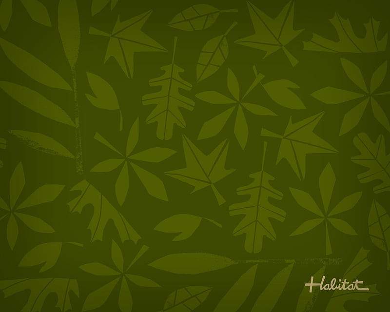 Habitat, skate, board, skateboards, leaves, green, HD wallpaper