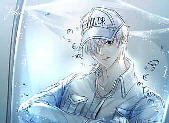 100+] Cells At Work Eosinophil Wallpapers