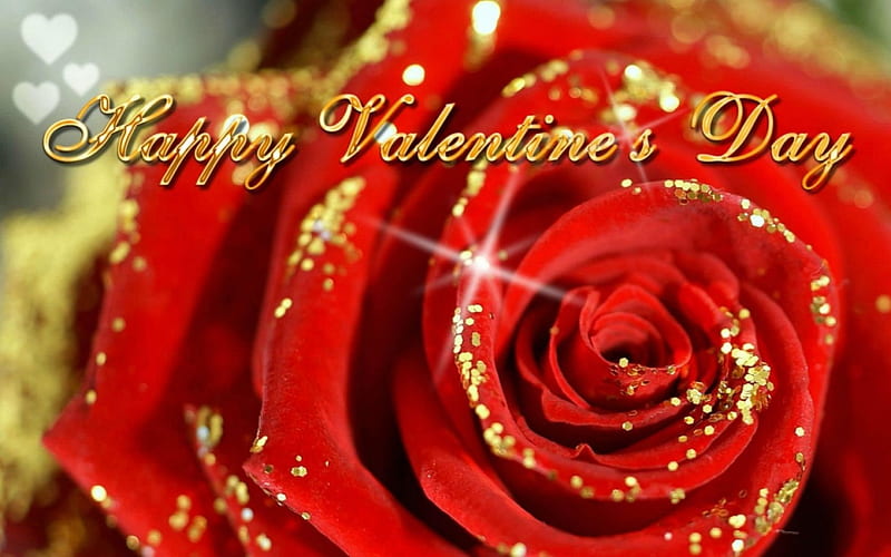 Happy Valentine's Day, Everyone!, valentines day, red, rose, glitter, flower,  HD wallpaper | Peakpx