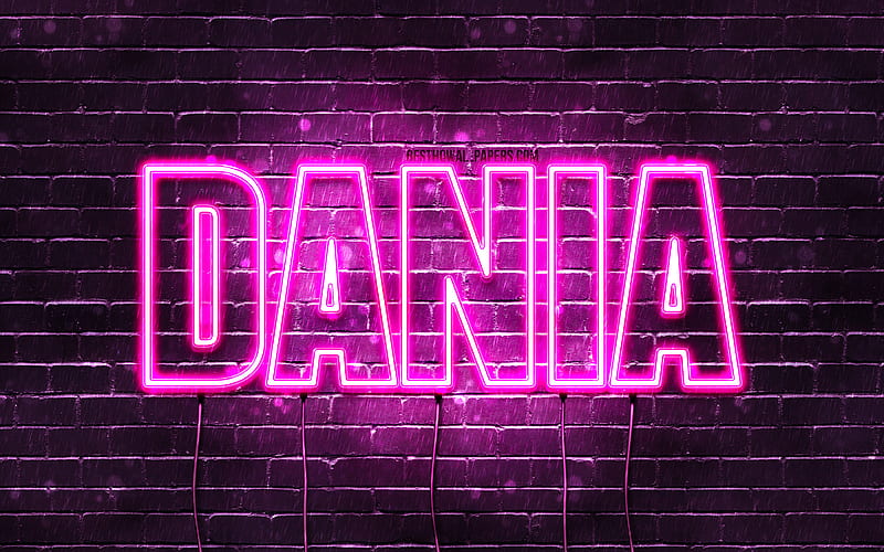 Dania, , with names, female names, Dania name, purple neon lights, Happy Birtay Dania, popular arabic female names, with Dania name, HD wallpaper