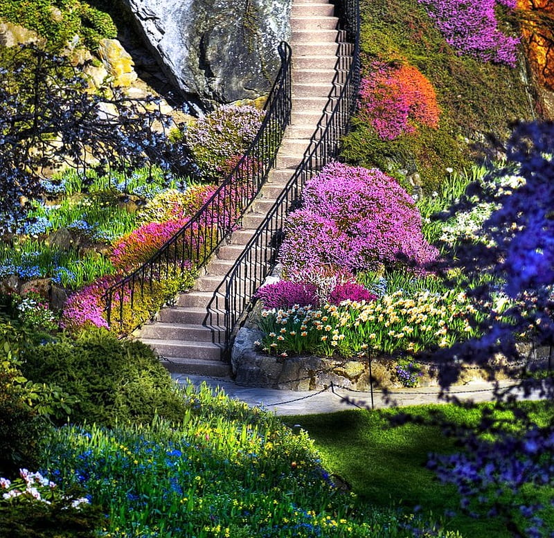 Beyond the stairway, rock, orange, colors, bonito, spring, bushes, gold, yellow winding, plants, flowers, garden, stairway, pink, blue, HD wallpaper