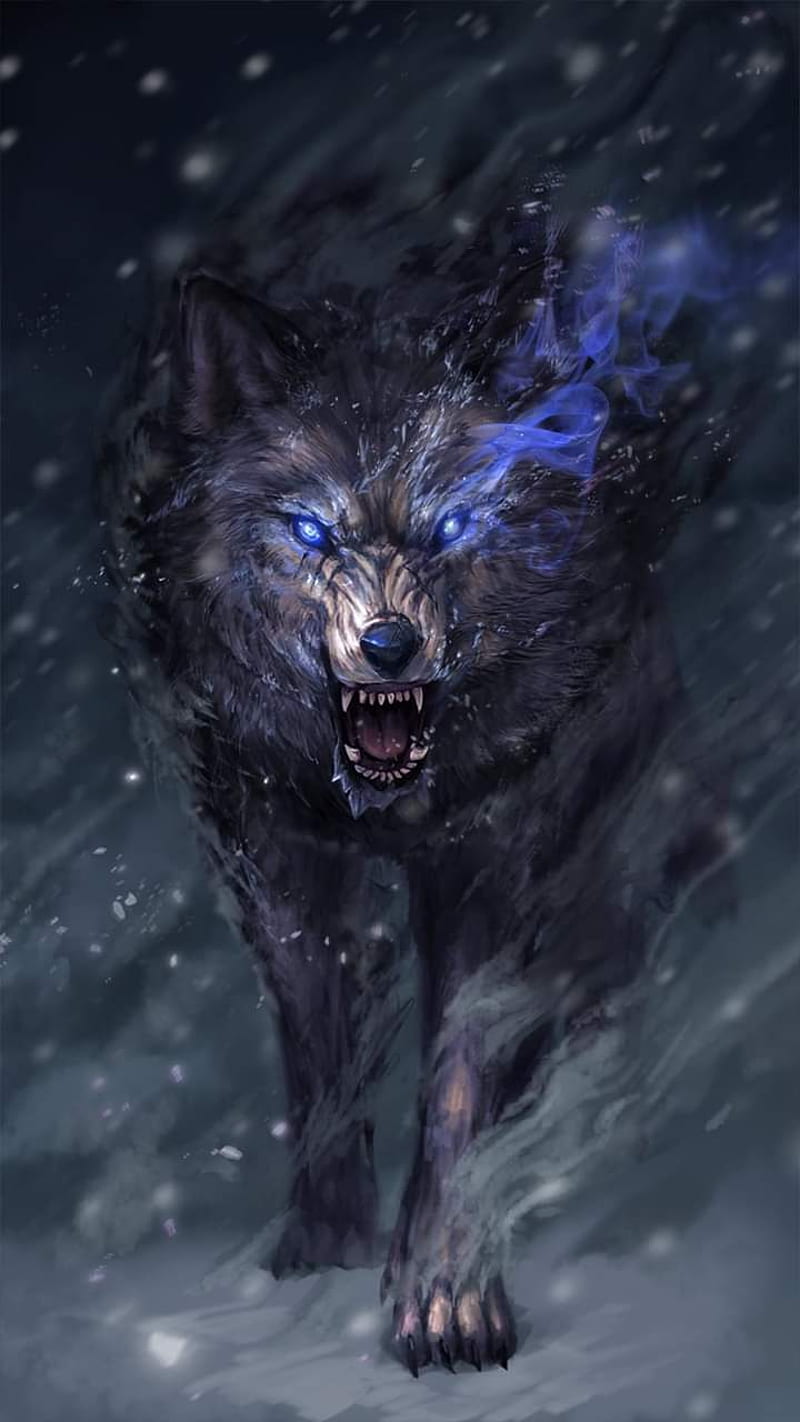 Wolf, astrology, lobo, HD phone wallpaper