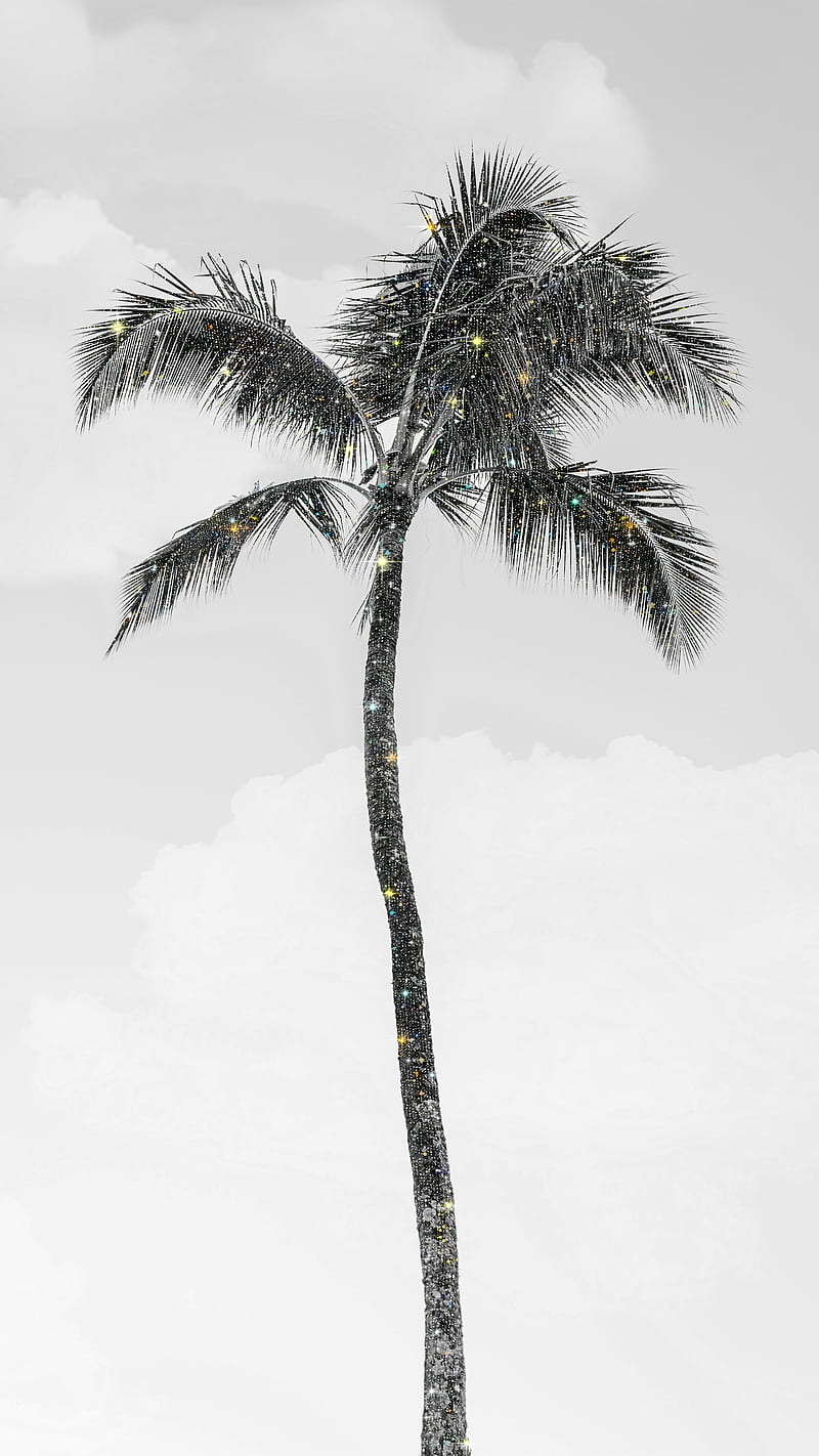 Glitter Palm Tree, aesthetics, black and white, clouds, nature, palm tree, sky, sparkle, HD phone wallpaper