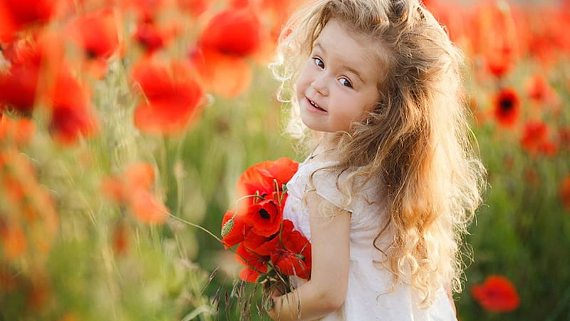 Cute Little Girl With Red Poppy Flowers Is Wearing White Dress Standing In Blur Red Common Poppy Flowers Field Background Cute, HD wallpaper