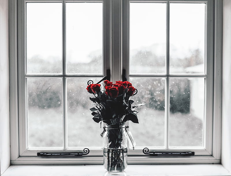 selective colors graphy of red roses inside clear glass jar filled with water, HD wallpaper