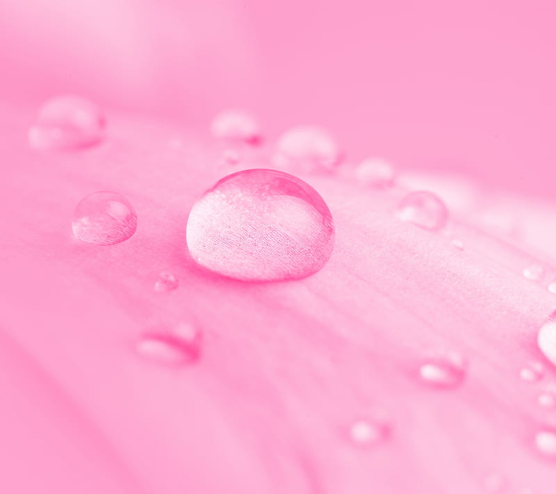 Drops, abstract, background, bubbles, drop, pink, water, HD wallpaper