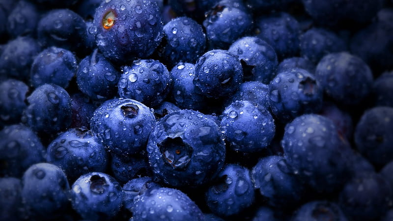 blueberries, agodi, berries, HD wallpaper