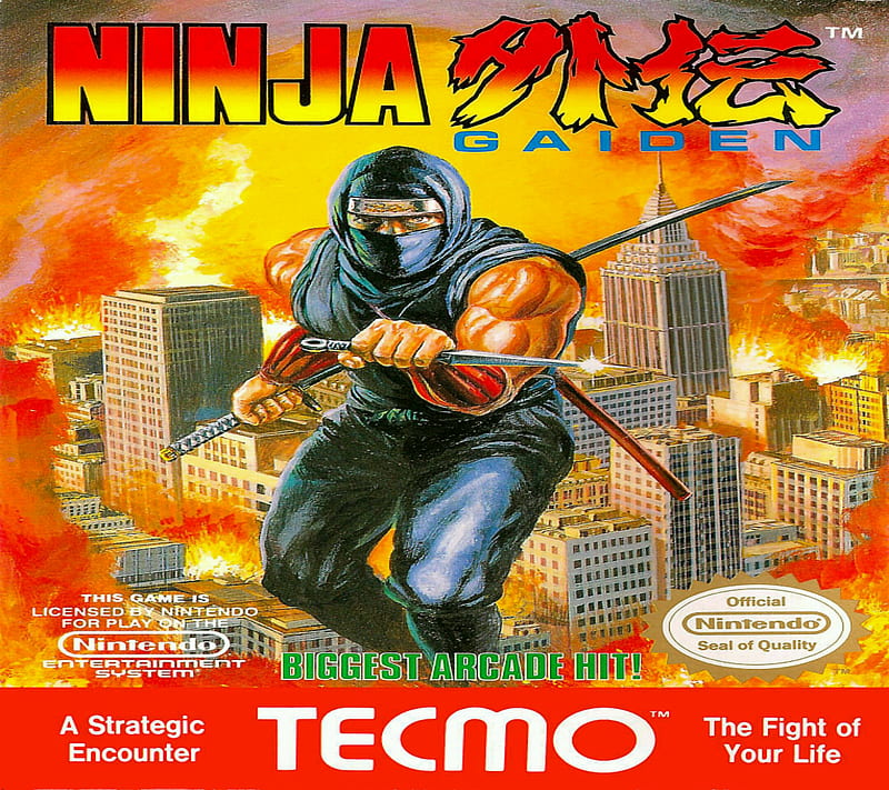 Ninja Gaiden, nintendo, tecmo, video game, HD wallpaper