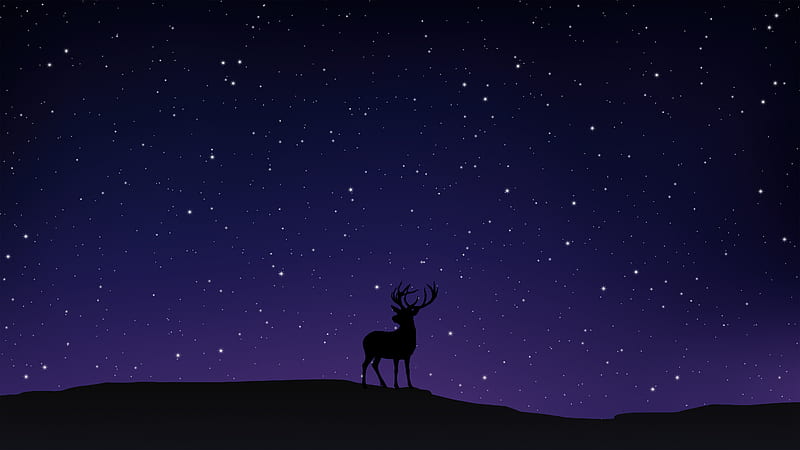 Night Sky Deer Minimal , deer, reindeer, minimalism, minimalist, artist, artwork, digital-art, HD wallpaper