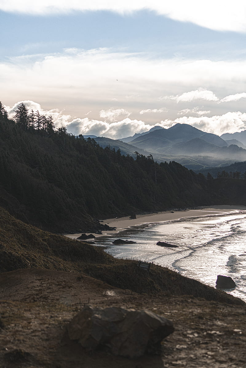 beach, mountains, forest, coast, landscape, HD phone wallpaper