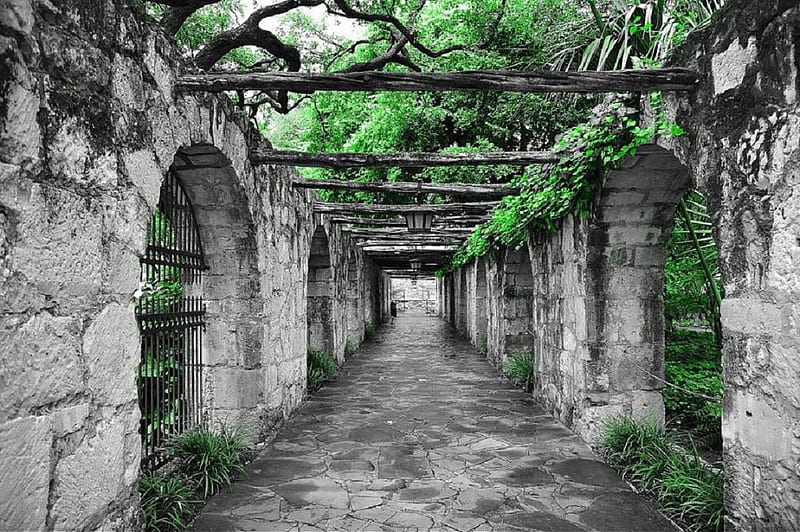Courtyard outside The Alamo 2., garden, courtyard, arch, plant, HD wallpaper