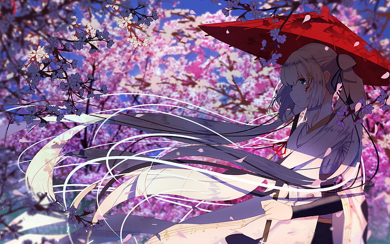 Yuki Miku, spring, sakura, manga, Magica Wars, magical girl, Yuki-miku, HD wallpaper