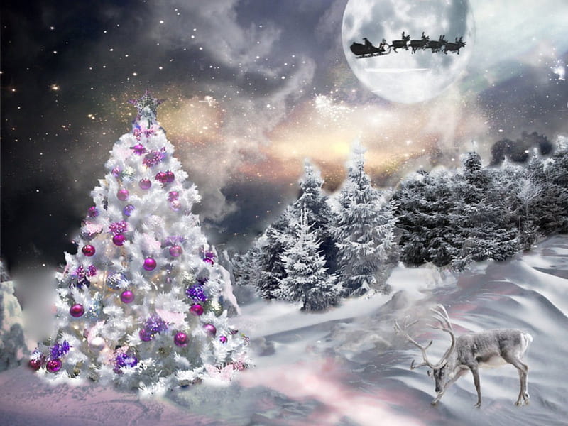 WINTER WONDERLAND, WINTER, SANTA, CHRISTMAS, DEER, STARS, WONDERLAND, SKY, NIGHT, MOON, SNOW, TREES, HD wallpaper