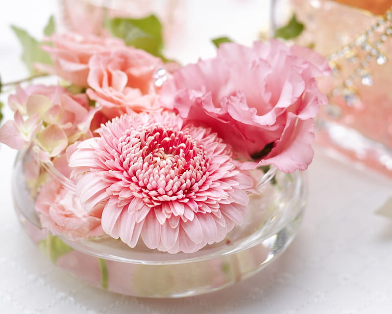 Flowers gift for my friend Cinzia, water, pink flowers, decoration, bonito, glass bowle, HD wallpaper