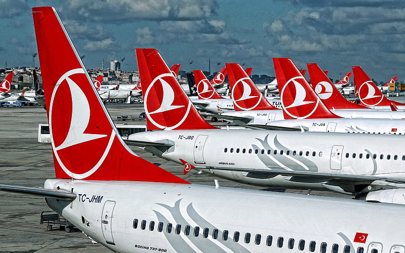 Turkish Airlines Airplanes on an Airport · Free Stock Photo