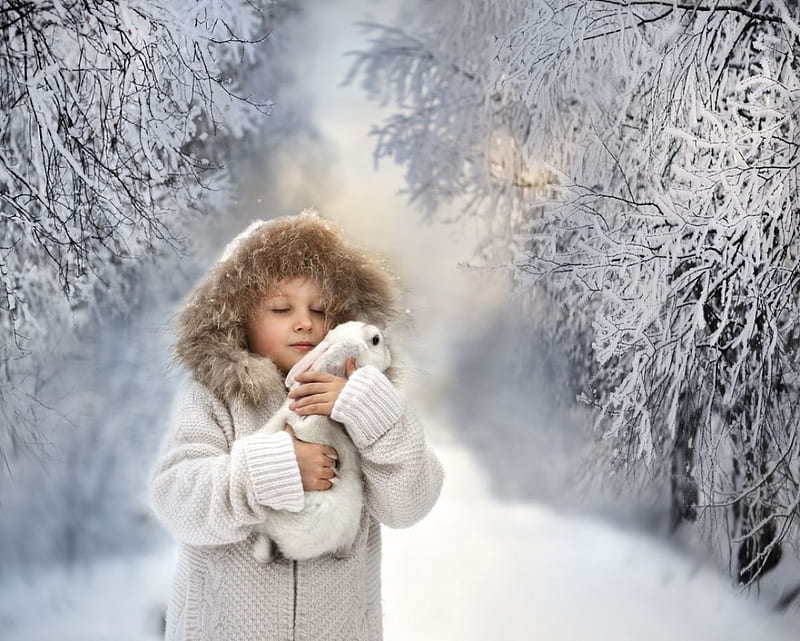 Friends in Winter, forest, rabbit, girl, snow, trees, HD wallpaper | Peakpx