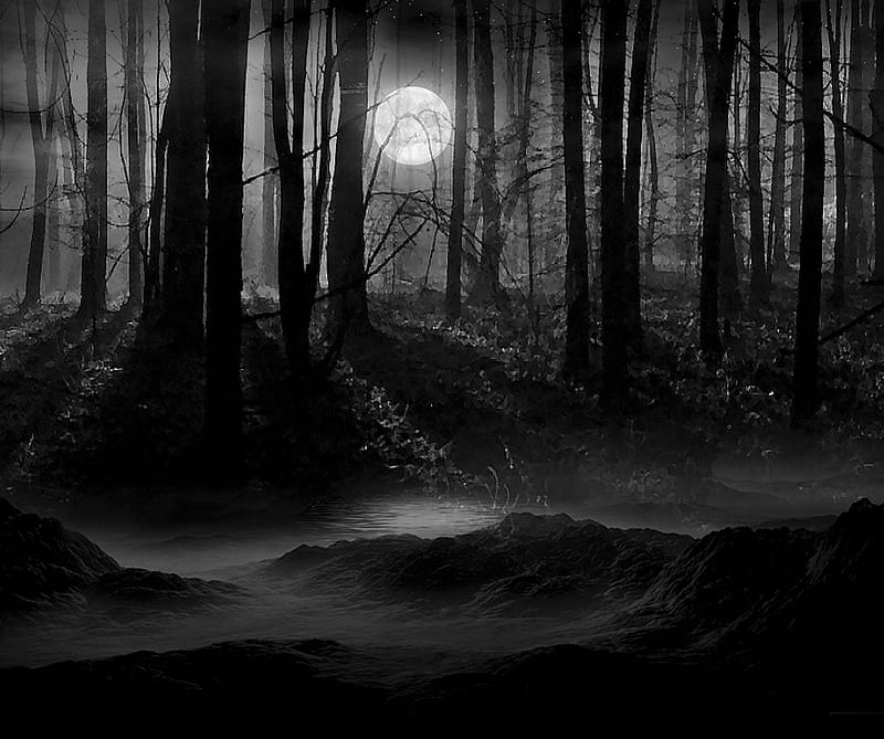 Full Moon, haunted, night, trees, woods, HD wallpaper