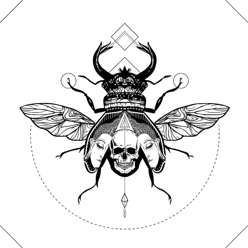 skull, illustration, bug, HD mobile wallpaper