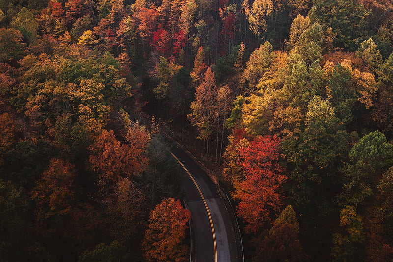 Must See Michigan Fall Color Drives With Maps, Michigan Autumn, HD wallpaper