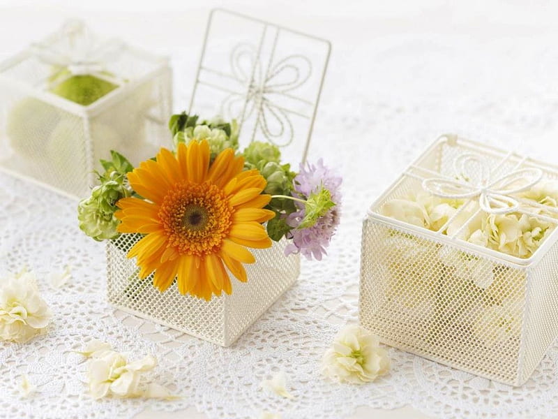 Flower Boxes, gerber, present, lace, box, gift, white, wedding, daisy, HD wallpaper