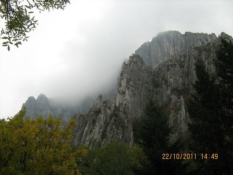 The Balkan, pretty, rocks, fall, autumn, bonito, trees, fog, mountain, graphy, nature, bulgaria, HD wallpaper