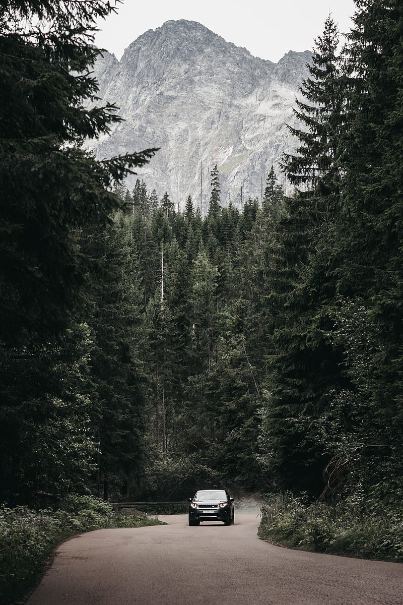 car, suv, forest, road, mountains, HD phone wallpaper