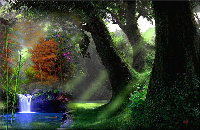 Oculto en el bosque, fantasia, color, forest, vista, HD wallpaper