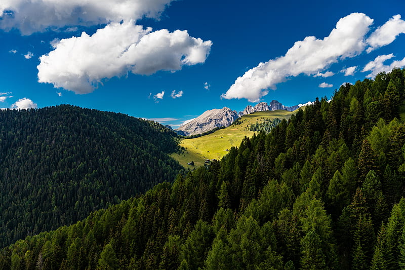 Mountain Hills, forest, cloud, sky, mountain, tree, pine, green, hill, blue, HD wallpaper