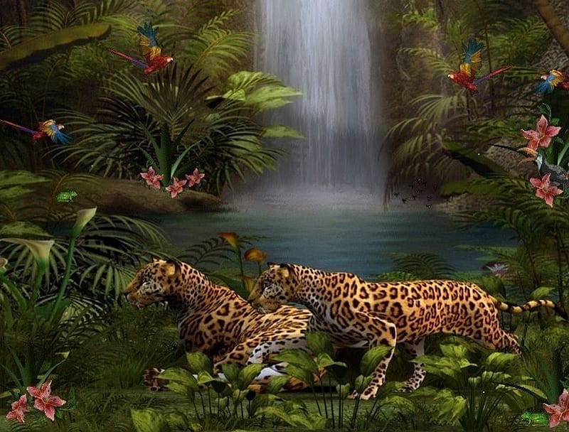 Leopards, water, hole, leapords, jungle, animals, HD wallpaper