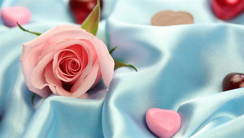 Rose and , rose, soft, silk, turquoise, love, heart, flowers, beauty, nature, pastel, pink, HD wallpaper