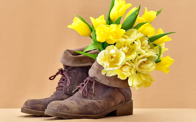 bouquet, yellow tulips, suede shoes, HD wallpaper