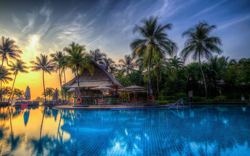 bungalow, ocean, pool, palm, resort, summer, r, HD wallpaper
