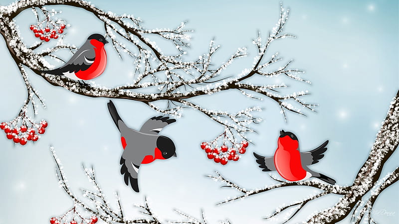 Frolicing Winter Finches, limb, sky, finch, winter, bird, snow, berries, ice, bull finch, Firefox Persona theme, HD wallpaper