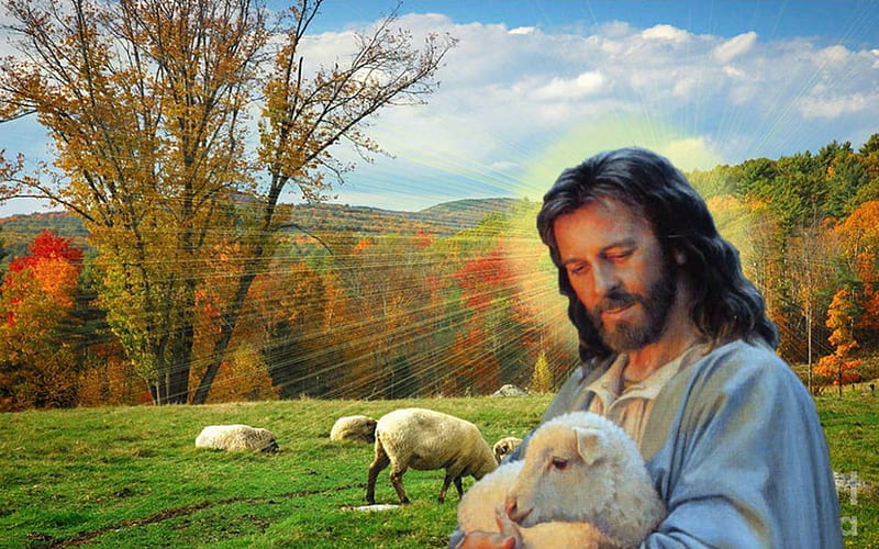 Jesus good shepherd, christ, sheep, jesus, shepherd, HD wallpaper | Peakpx