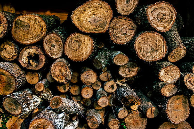 pile of brown wooden firewood logs, HD wallpaper