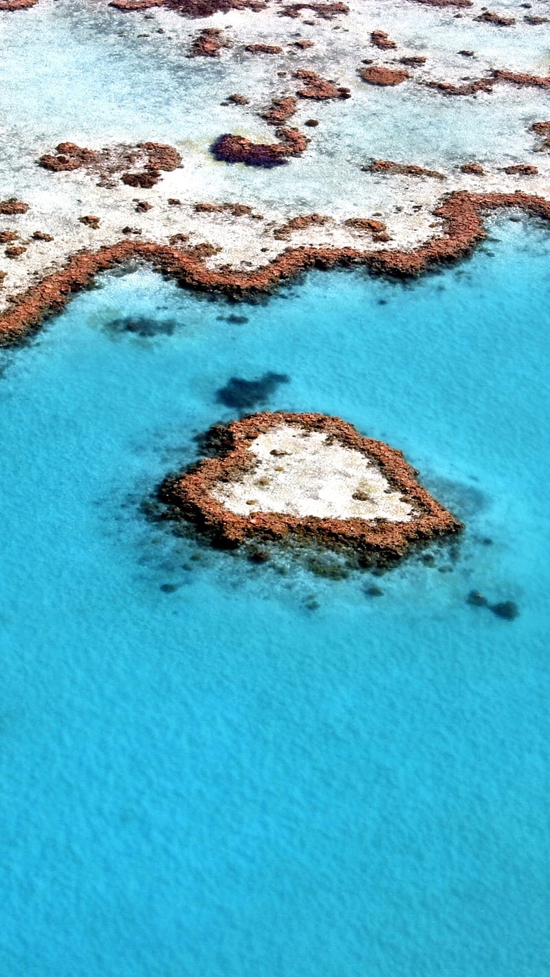Heart Reef, barrier, great, heart, reef, HD phone wallpaper