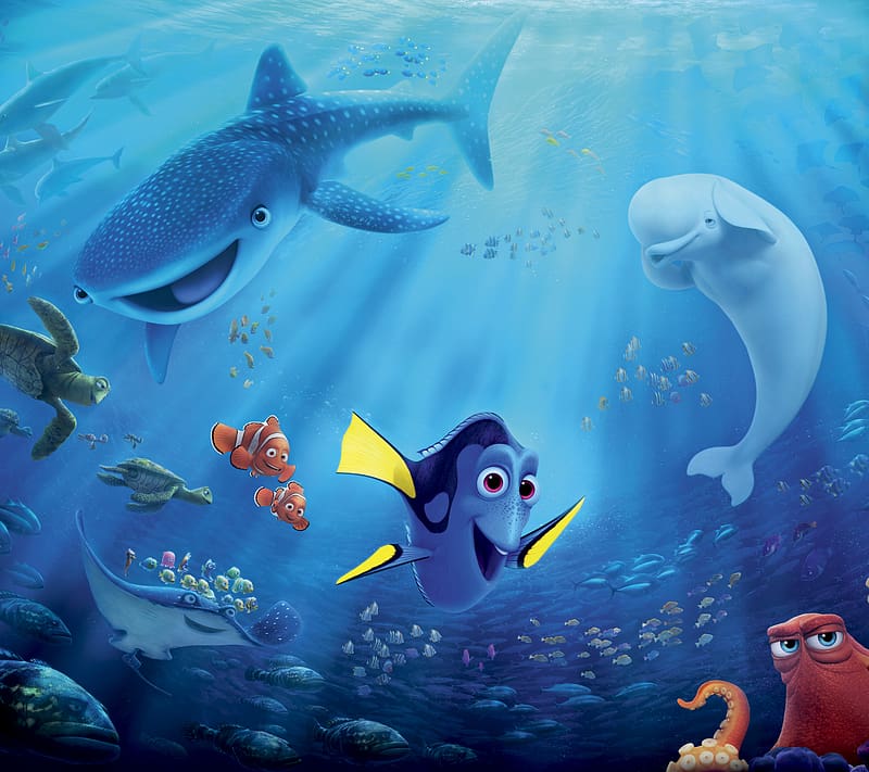 Movie, Dory (Finding Nemo), Marlin (Finding Nemo), Crush (Finding Nemo), Nemo (Finding Nemo), Mr Ray (Finding Nemo), Finding Dory, Bailey (Finding Dory), Destiny (Finding Dory), Hank (Finding Dory), HD wallpaper