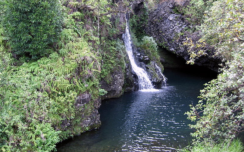 Waterfall Grotto, waterfall, nature, creek, greenery, HD wallpaper