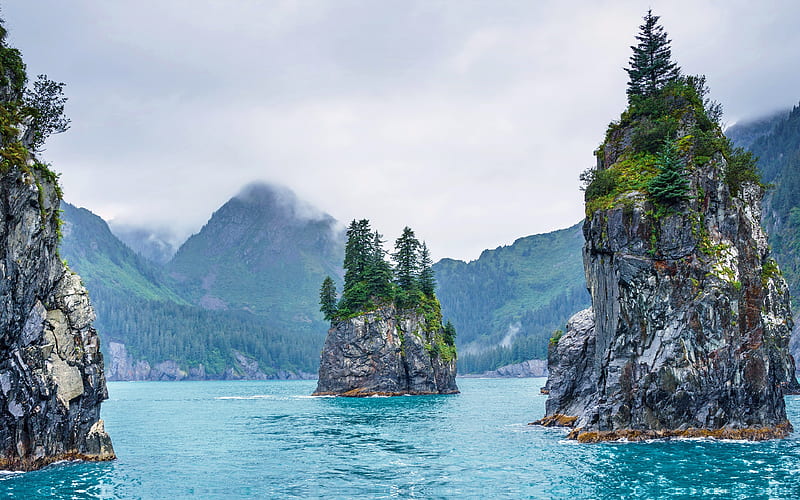 Kenai Fjords National Park Alaska 2020 Bing, HD wallpaper