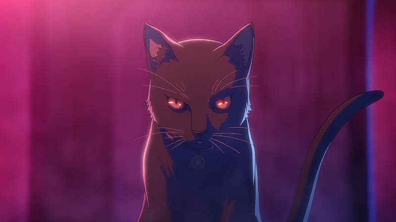 Anime, Cat, Akudama Drive, HD wallpaper