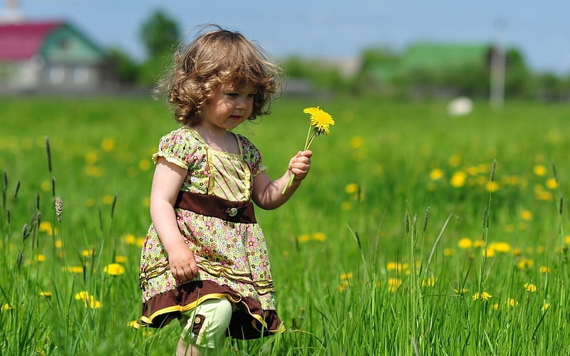 little girl, little, green, girl, grass, dandelions, spring, HD wallpaper