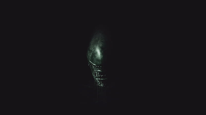Alien Convenant 2017 Movie , alien-convenant, 2017-movies, HD wallpaper