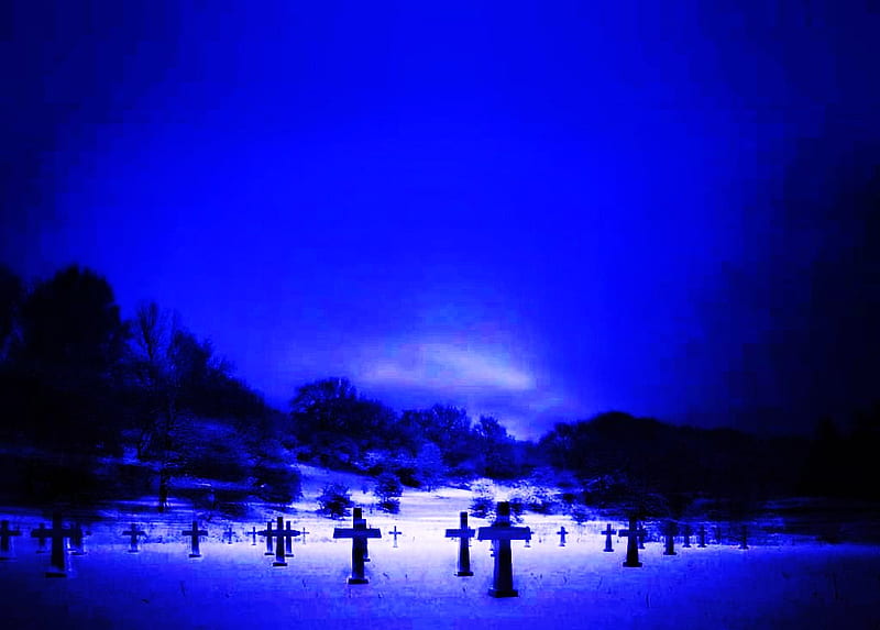 At rest, moonlight blue, crosses, trees, rows, cemetary, night, HD wallpaper