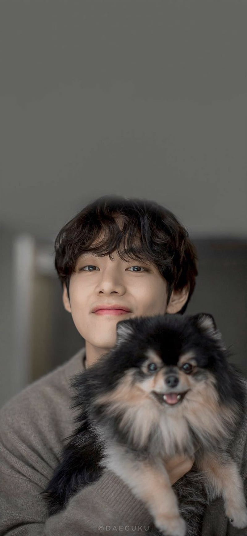 Taehyung, bts, kpop, puppy, kim taehyung, taehyung and yeontan, cute, dog, yeontan, HD phone wallpaper