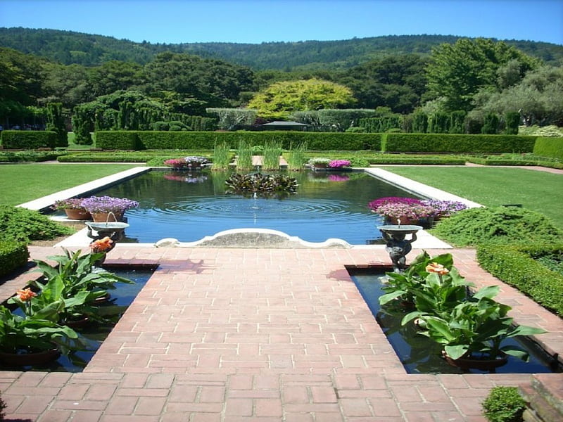 Garden Pool, patio, brick, grass, plants, swim, home, pool, yard, HD