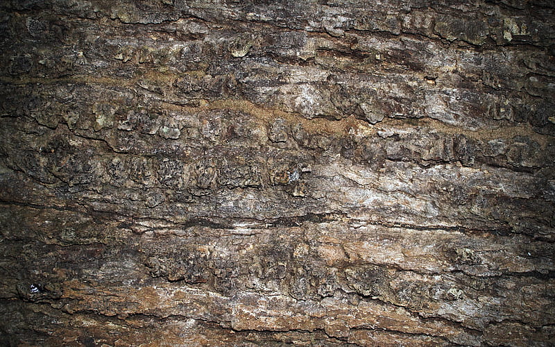 stone texture, macro, gray stone, rocks, stone background, rock wall, HD wallpaper